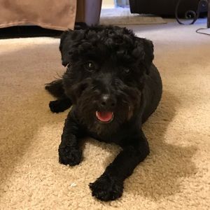 Meet your Posher, Stacey